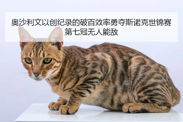 奥沙利文以创纪录的破百效率勇夺斯诺克世锦赛第七冠无人能敌